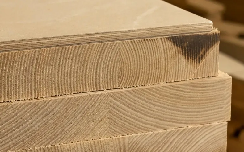 Jak pozyskiwanie drewna wpływa na ocenę jego ekologiczności